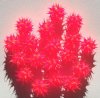 1 8mm Round Hot Pink & Orange Silicone Bead